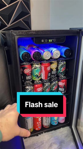 Mini Fridge Review: Amazing Storage Options