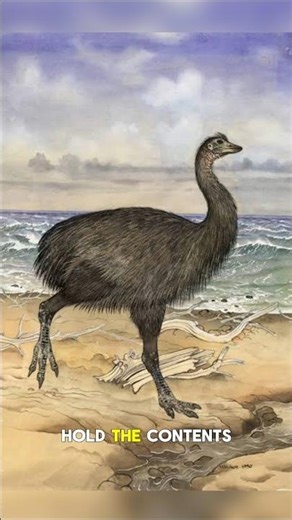 Elephant Bird: The Largest Bird to Ever Live