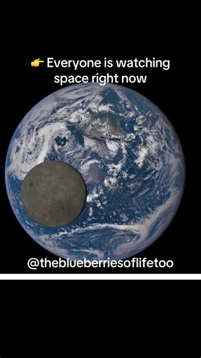 This is why children’s books matter. 🚀✨ Because one moment like this… can change how a child sees the world 💫 The Blueberries of Life Too ;Brooklyn Discovers Yerkes Observatory DM me for a preorder ( will be out this summer !) #f#fypf#foryouf#foryoupages#spacea#artemis