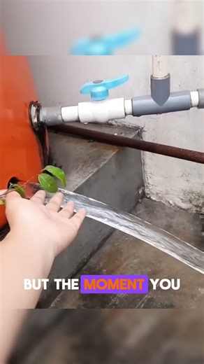 This Flowing Water Looks Frozen… But Isn’t 🥶