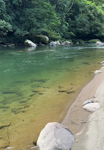Explorando la Selva Amazónica en Ecuador