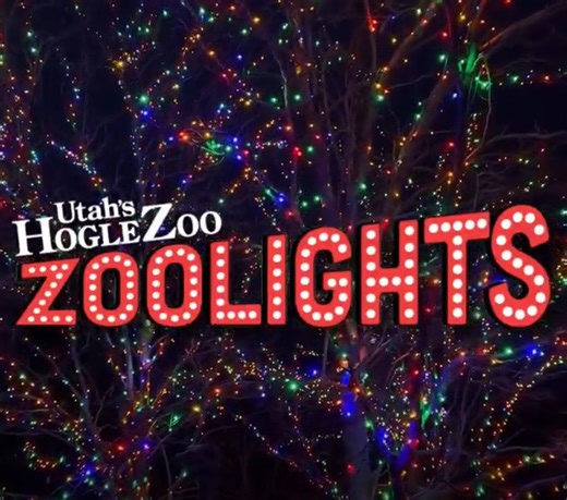 Take a festival stroll thru Utah’s Hogle Zoo and experience ZooLights!