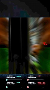 Biceps Cable Curl is an isolation exercise specifically designed to target the biceps muscles in the upper arm. This exercise utilizes a cable machine, making it accessible for beginners and effective for building upper body strength. The primary focus is on the biceps brachii, which plays a crucial role in elbow flexion.Targeted Muscle Development: Primarily strengthens and increases size in the biceps brachii while also engaging synergistic muscles like the brachialis and brachioradialis.2.Fun