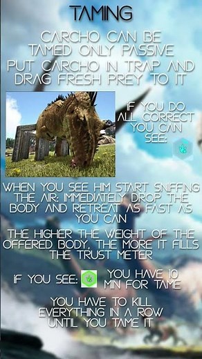 How to tame Carcha #tame#guide #fyp #arksurvivalevolved #ark #carcharodontosaurus #arkcarcha
