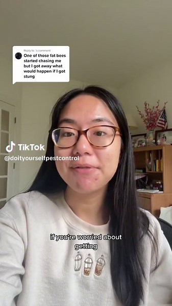 Dealing with Carpenter Bee Stings: Facts & Remedies