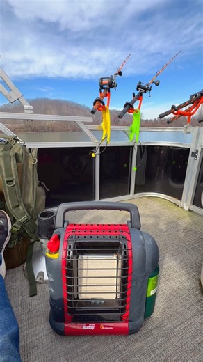 Taking advantage of this warm weather and chasing those cats!