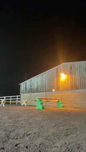 #fyp#foryoupage#viral #fypシ #horses #algorithm #edihorses #talent #sad #jump #capcut#blowup