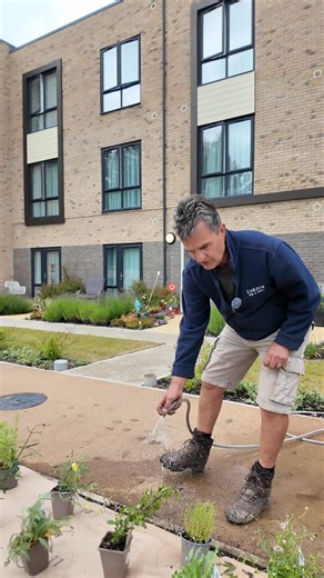 6.5K views · 13 reactions | Great tip for planting with Garden on a Roll! Water the roll before planting - it softens the paper, making it easier to work with and helps it break down quicker. Then just cover with mulch or compost to lock in moisture and give your plants the best start ✨ #GardenOnARoll #EasyGardening #GardeningTips | Garden on a Roll | Facebook