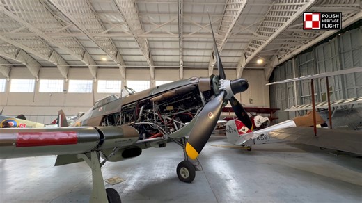 45K views · 915 reactions | This piece was filmed for the Polish...