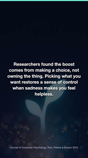 Retail Therapy Works, But Not For The Reason You Think