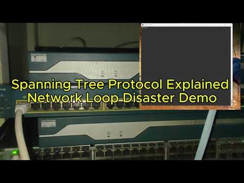 Spanning-tree protocol explained Network Loop Disaster