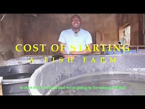 How To Start A Fish Farm With 200,000 Naira ($138) in 2026
