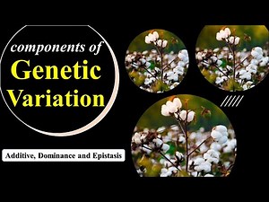 Components of Genetic Variation | Additive | Dominance | Epistasis |