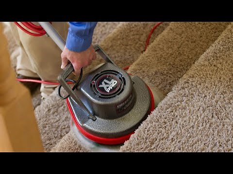 Professional Carpet Cleaning Process | Heaven's Best