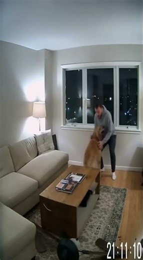 Unbelievable! Dog Warns Owner Just in Time 🐶💨 | AI Security Camera Simulation #shorts