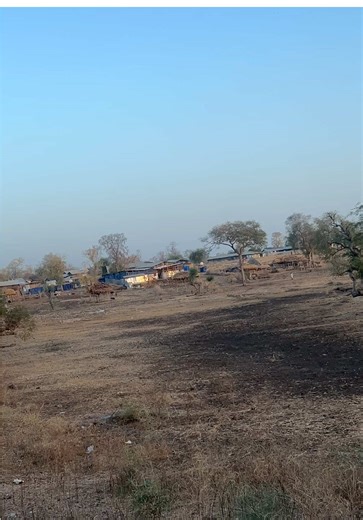 Dr.no (@dr.no24)’s videos with original sound - Dr.no