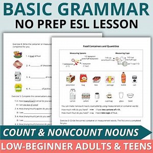 Low Beginner ESL Grammar Worksheets for Adult ESL - Count & Noncount Nouns