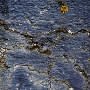 Info - A Throw​-​Away Society