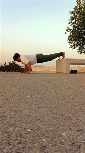 Upside Down Push-Up | Day 65| Strength, Balance & Consistency