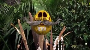 M&Ms Commercial Collection