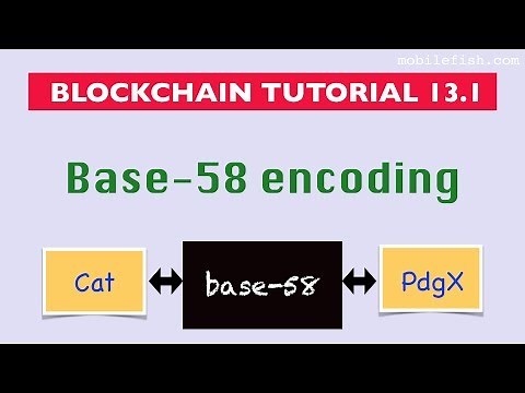 Blockchain tutorial 13.1: Base-58 encoding