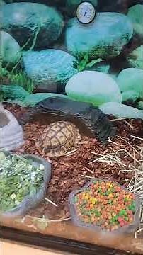 Come shopping at Petco with us!