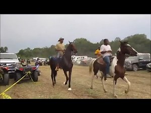 PART 3-Trail ride in Delhi Louisiana Rayville Louisiana Monroe Louisiana Tallulah Louisiana