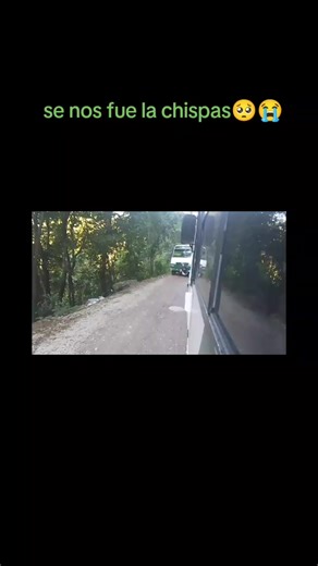 se nos fue la chispas