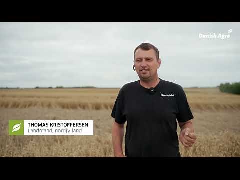 Høst 2025 oplevet af tre landmænd og Direktør i Danish Agro Henning Fogh