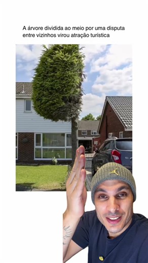 Neighbors divide tree in half.