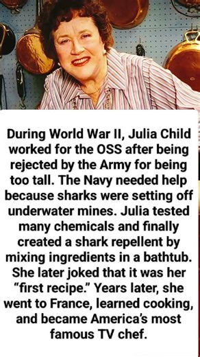 Before Julia Child Became a TV Chef… She Helped the U.S. Navy Stop Sharks