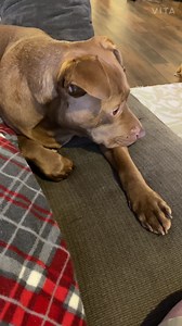 42K views · 5.2K reactions | I’m not good at April Foolsin | Tatum Talks | Facebook