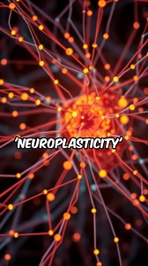 Hack Your Brain ! The Power of Visualization #Neuroplasticity #Visualization #ConfidenceBoost #FearLess #Mindfulness #PersonalGrowth #reels #reelsfacebook #psychologyfact #psychology #psychologyfacts #reelsviralvideo #reelsfbviral #reelsvideo #reeloftheday #reelsfbpage #psychologytricks #psychologytips #motivationquotes #motivational #psychologyorg #psychologicalfacts #psychologysays #psychic #quotes #quoteoftheday #viralfacts #facts #girlsfacts #deepfacts #boysfacts #psychologyfactss #viral_vid