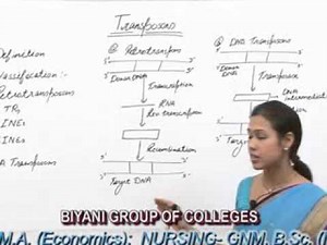 Transposons lecture, BSc Biotechnology by Pargya Dhakar