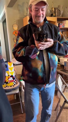 Adopt Adorable Cavalier Puppies Today!