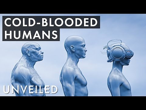 What If Humans Were Cold-blooded Creatures? | Unveiled