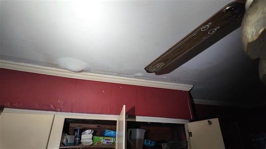 Multiple Water Leaks, Mold and FECES! #realestate #house #damage #plumbing #water #investmentproperty #mold #landlord #cleveland #Ohio #leak | Property Recovery Agent