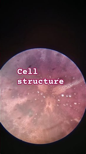 Tissue cell structure through microscope #nature