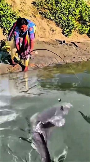 Teriak Histeris! Wanita Ini Tak Menyangka Strike Lele Sebesar Ini !!! #fishing #shorts #catfish