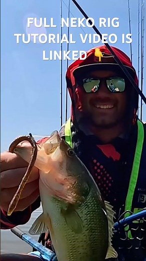 You’re Fishing the Neko Rig WRONG #bassfishing #kayakbassfishing #kayakfishing