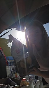 Guess the price shopping haul? | Jennifer's Journey NZ