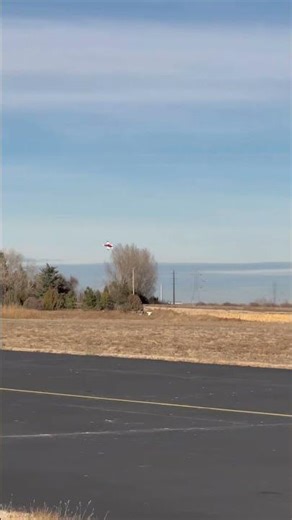 Freewing L-39 inverted circle