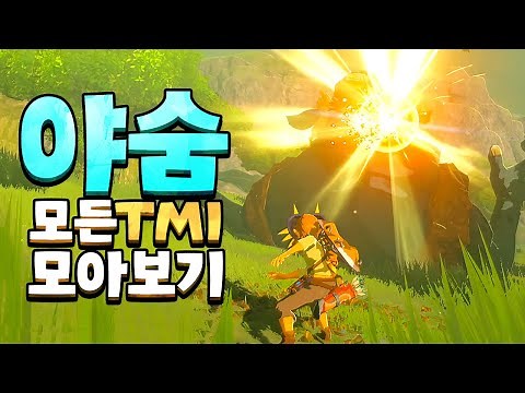 야숨 신박한 디테일과 TMI 총모음집 (젤다의 전설 야생의 숨결)