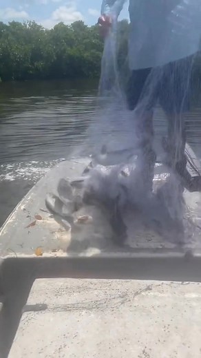 2.5K views · 32 reactions | Mullet time! ✝️ #fypシ #fyp #CastNetFishing #fishing #food #fish #castnet #fisherman #mullet #fishermen | Kevin Brown | Facebook