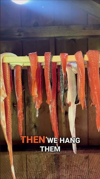 How to cold smoke King Salmon. Our First Batch of the Year!