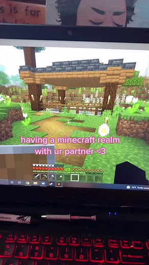 Building a Minecraft Realm Together: Couple Goals