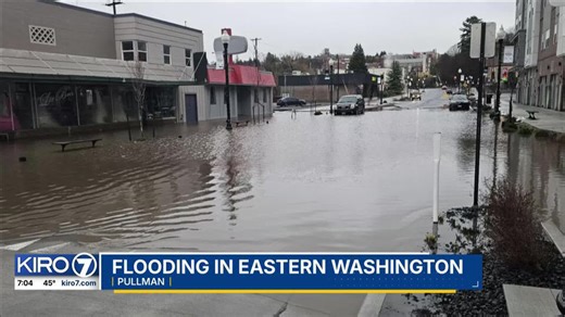 Video: Winter weather brings flooding to Pullman