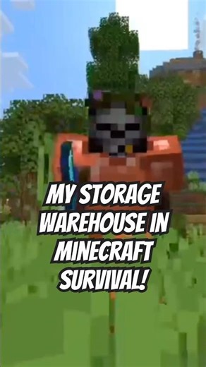 My Storage Warehouse In Minecraft Survival! #usa