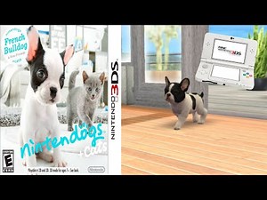 Nintendogs + Cats: French Bulldog & New Friends Gameplay Nintendo 3DS