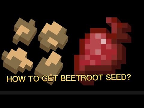 How To Get Beetroot Seed In Minecraft? Survival Mode #minecraft